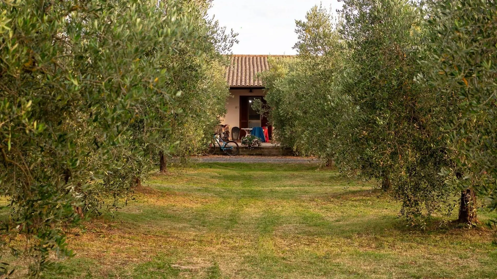 Agriturismo Turin Alberese Italy